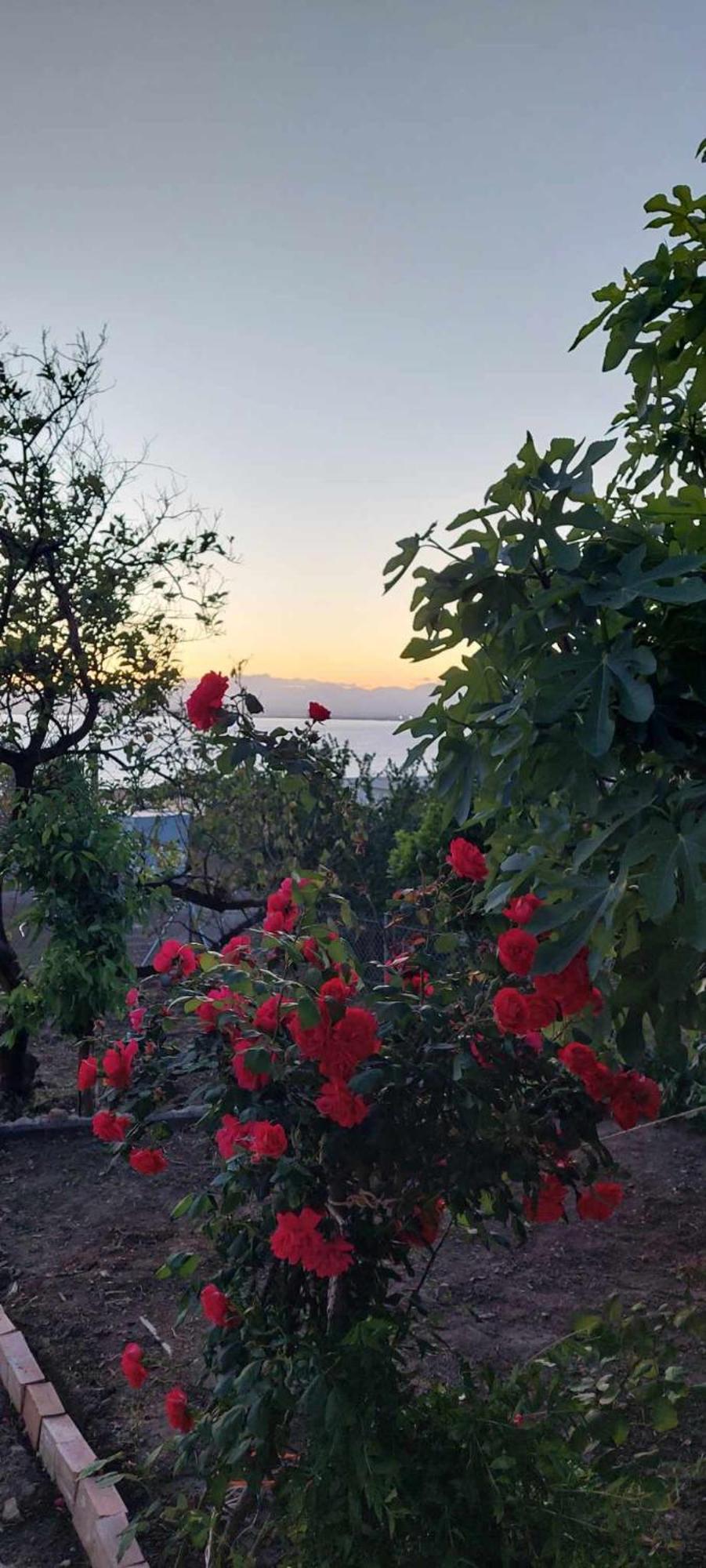 Panorama Studio Καλαμάτα Εξωτερικό φωτογραφία